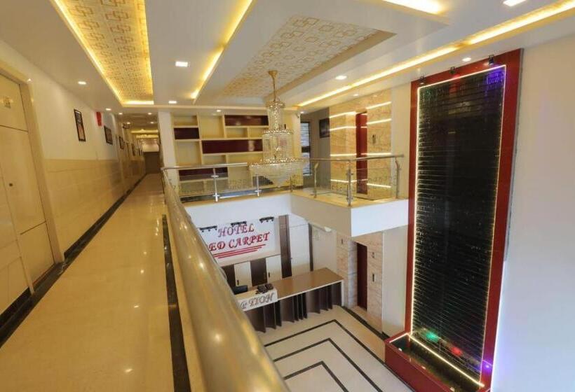 فندق Liva International