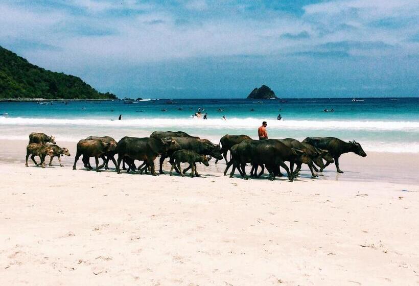 בית מלון כפרי Luana Lombok