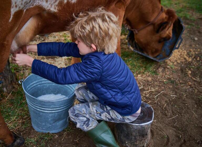 호텔 Oaklands Farm Stay