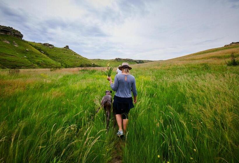 酒店 Oaklands Farm Stay