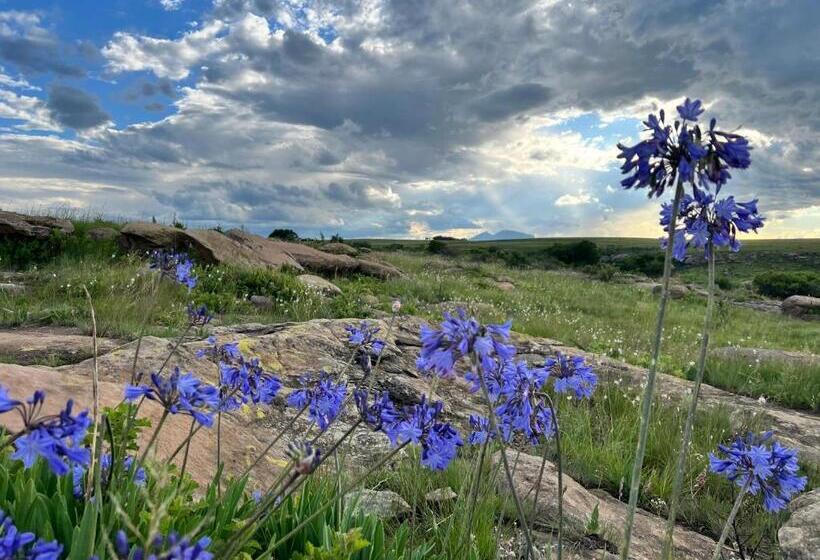 호텔 Oaklands Farm Stay