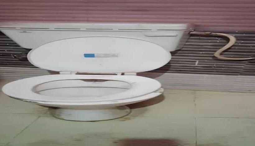 酒店 Oyo V K Guest House