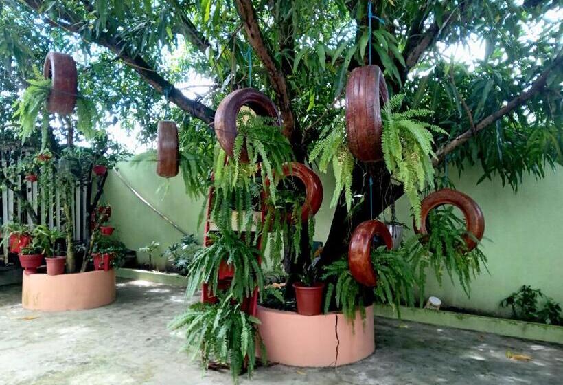 فندق Pousada Mazolas