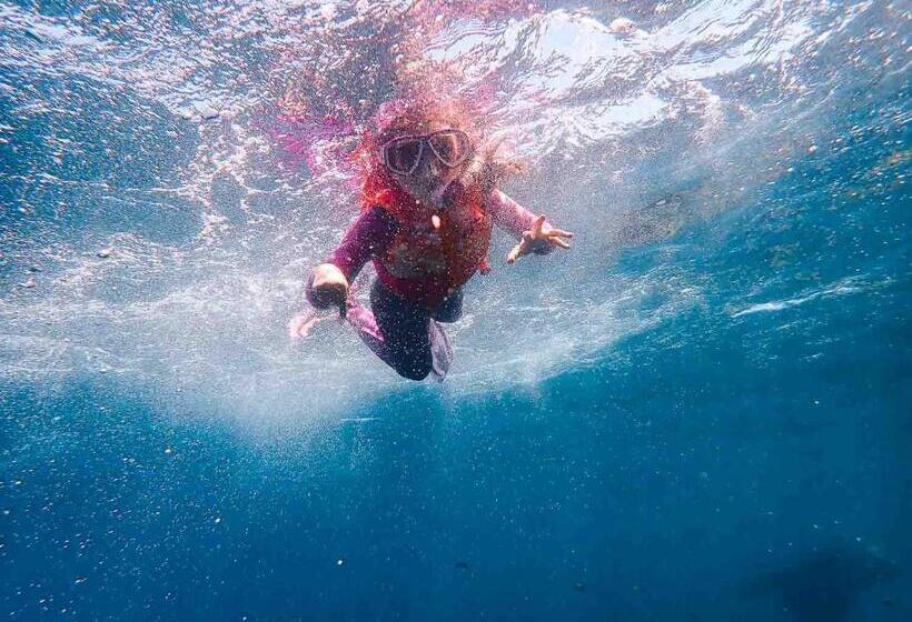 Отель Sealion Dive Center