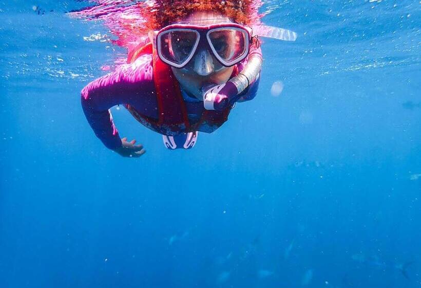 Отель Sealion Dive Center