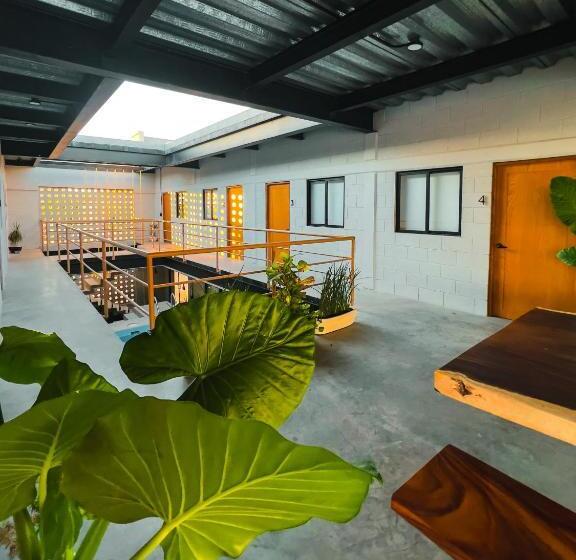 Отель Sealion Dive Center