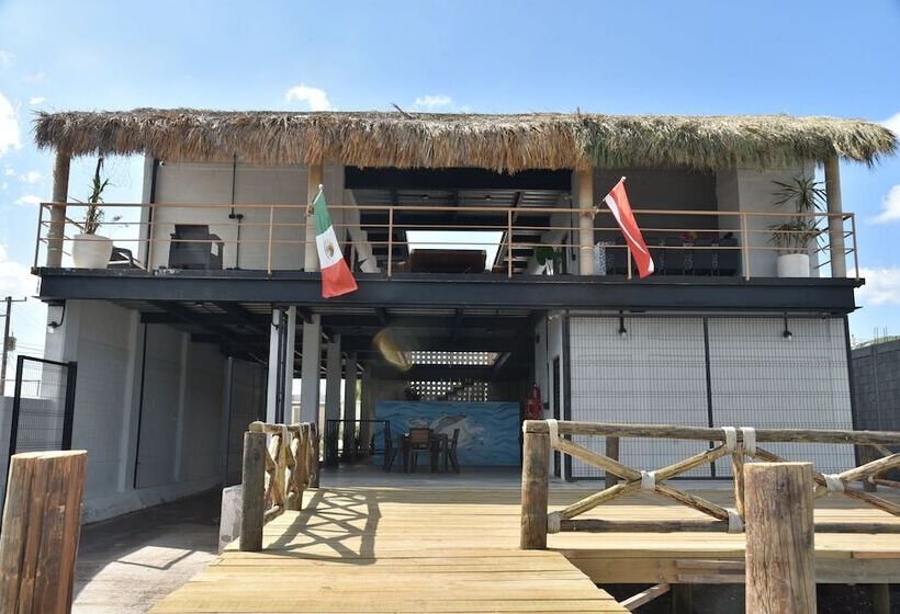 Отель Sealion Dive Center