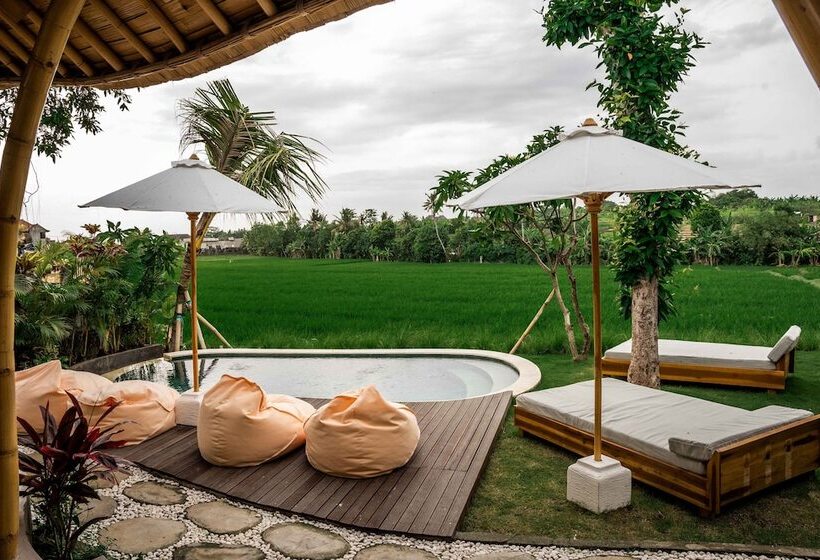 فندق Shanti Boutique Retreat