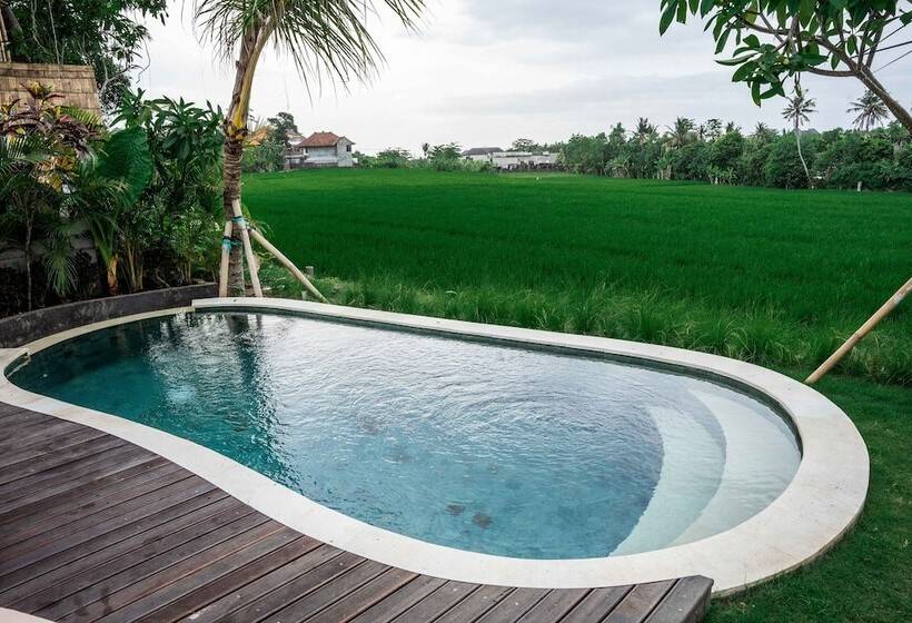 فندق Shanti Boutique Retreat