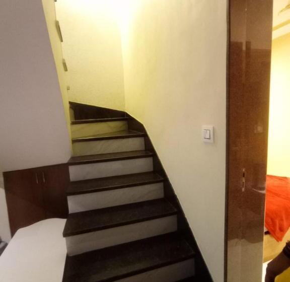 Отель Starlight