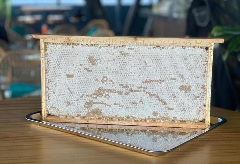 בית מלון כפרי Sunflower World