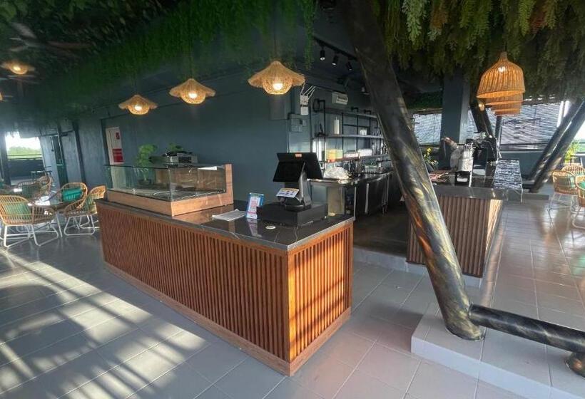 בית מלון כפרי Sunflower World