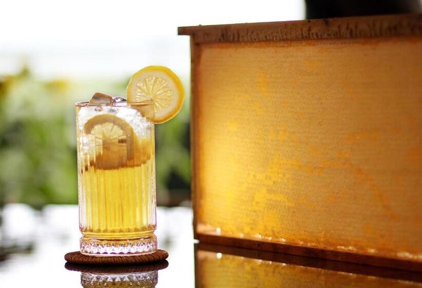 בית מלון כפרי Sunflower World