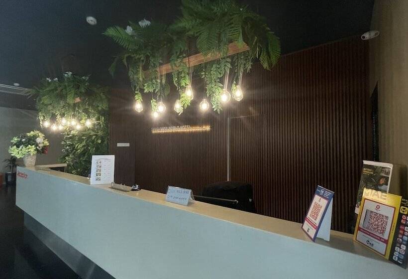 בית מלון כפרי Sunflower World