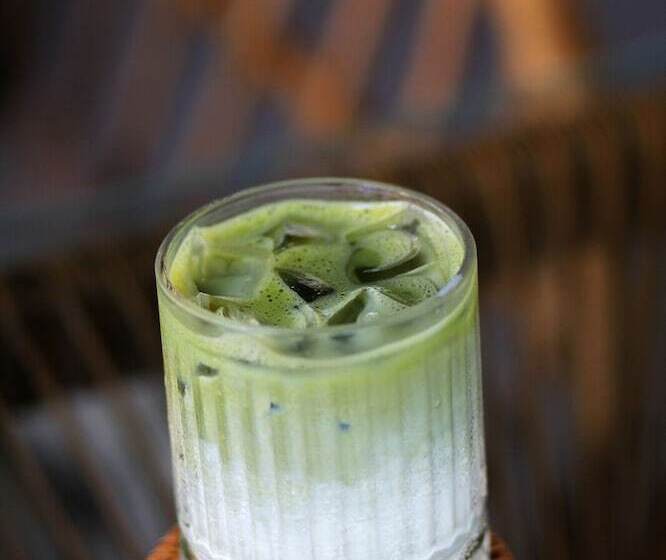 בית מלון כפרי Sunflower World