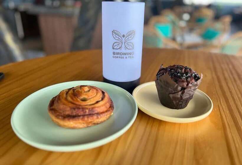 בית מלון כפרי Sunflower World