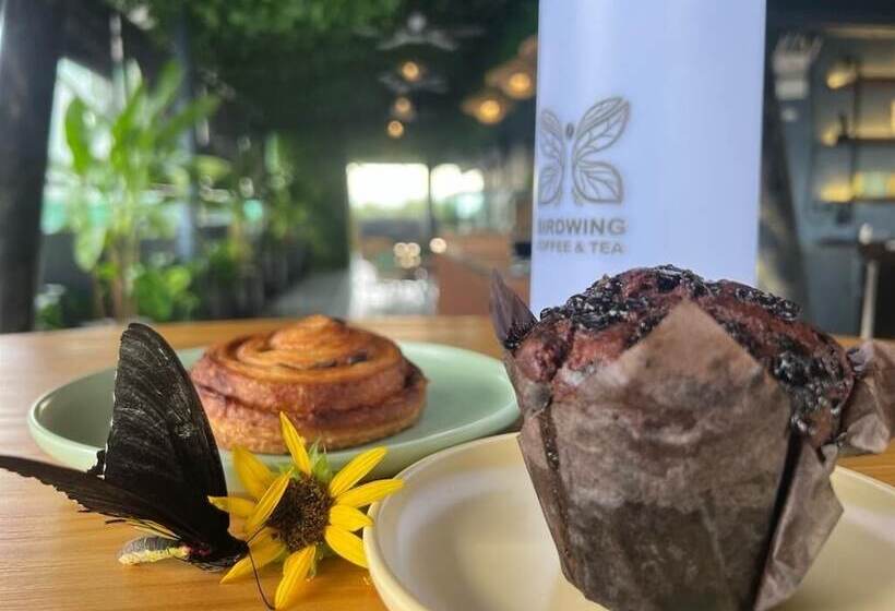 בית מלון כפרי Sunflower World