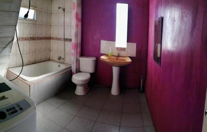 Пансион Colibri