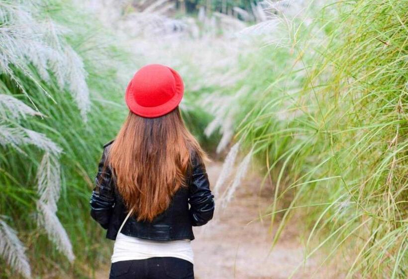 Pensjonat Doi Sang Farm Stay   ดอยซางฟาร์มสเตย์