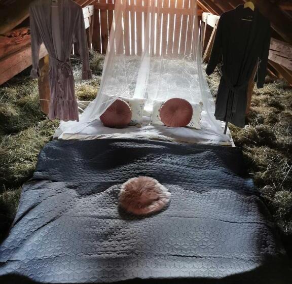 پانسیون Hay Barn Unique Experience Visole