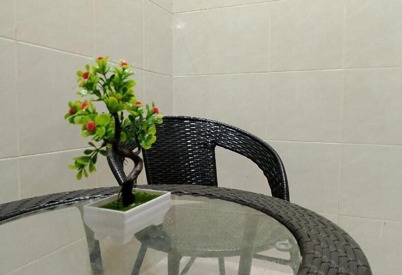 بنسيون Lawer Guesthouse