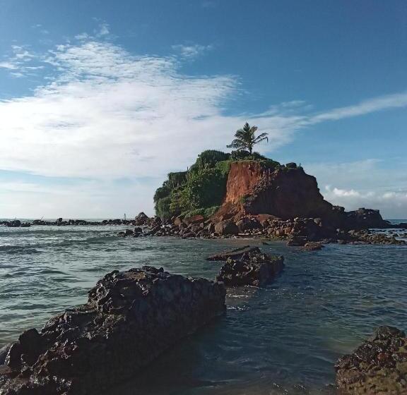 膳宿费 Twin Trees Guest