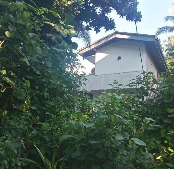 膳宿费 Twin Trees Guest