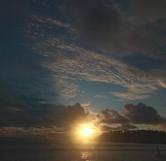 膳宿费 Twin Trees Guest