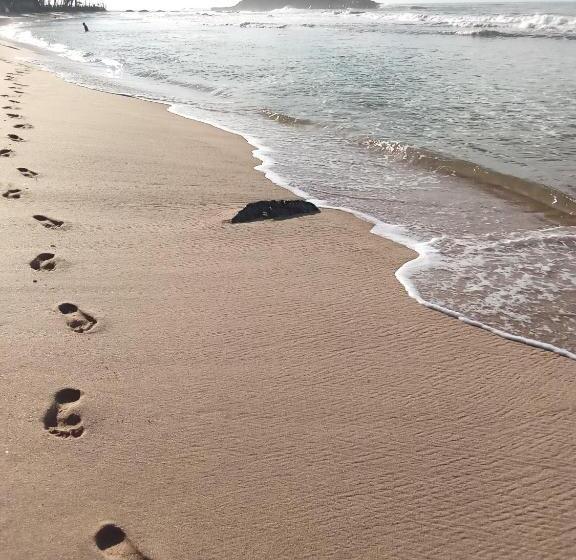 膳宿费 Twin Trees Guest