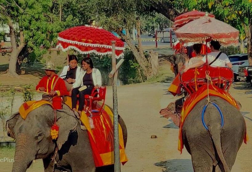 Пансион V House