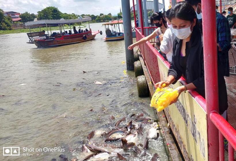 Пансион V House