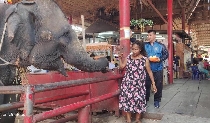 Пансион V House