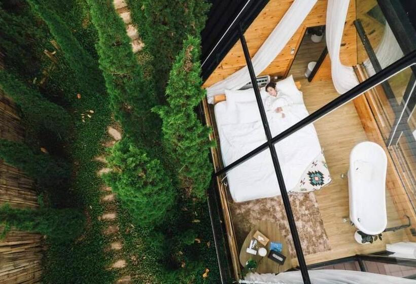 渡假胜地 Morning Star Glamping