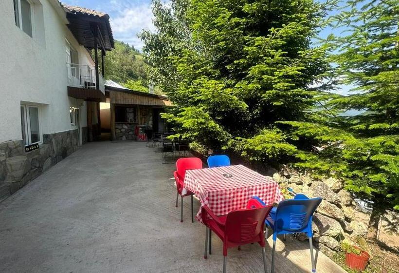 هاستل Guest House Bozvill