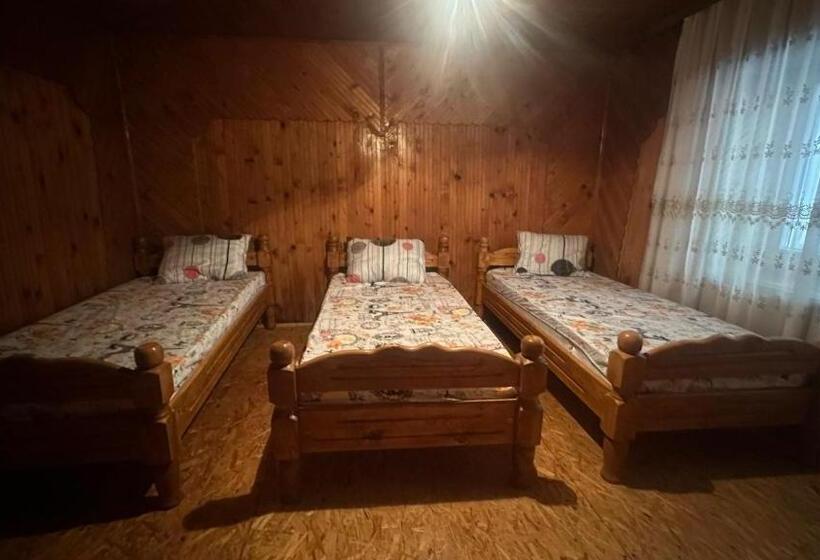 هاستل Guest House Bozvill