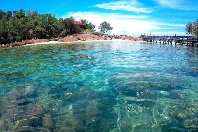 ユースホステル Pamutusan Island