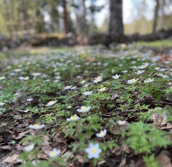 Bed and Breakfast Annexet Orrabackens