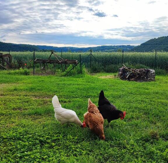 住宿加早餐  Ca  Dei Berici