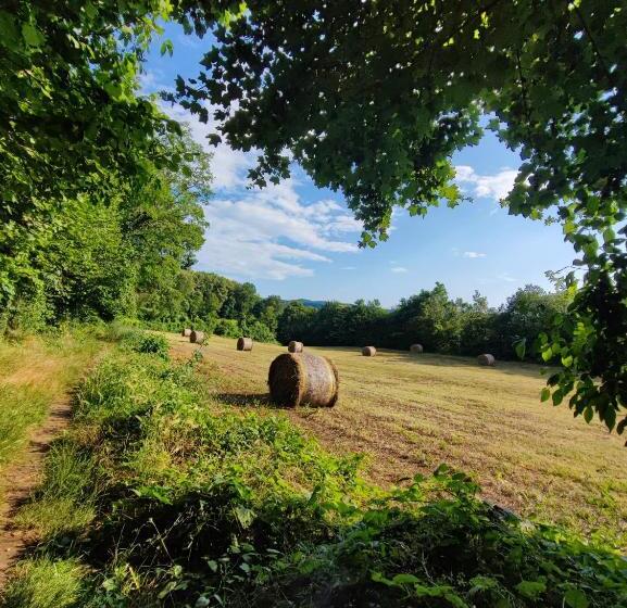 住宿加早餐  Ca  Dei Berici