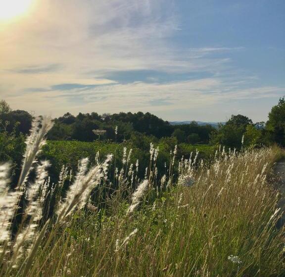مبيت وإفطار La Dame Jeanne