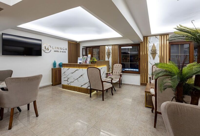 مبيت وإفطار Linnga Hotel & Suite