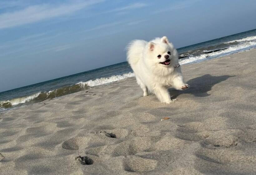 Bed and Breakfast Pension Ostsee Strand