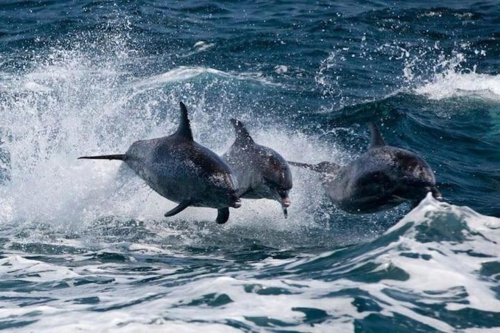 Hello Sunshine Steps To The Beach