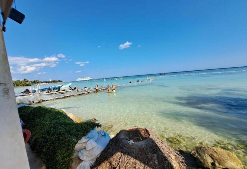 ホテル Hidden Jems Mahahual Hostel