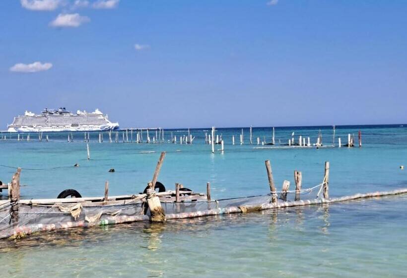 Отель Hidden Jems Mahahual Hostel