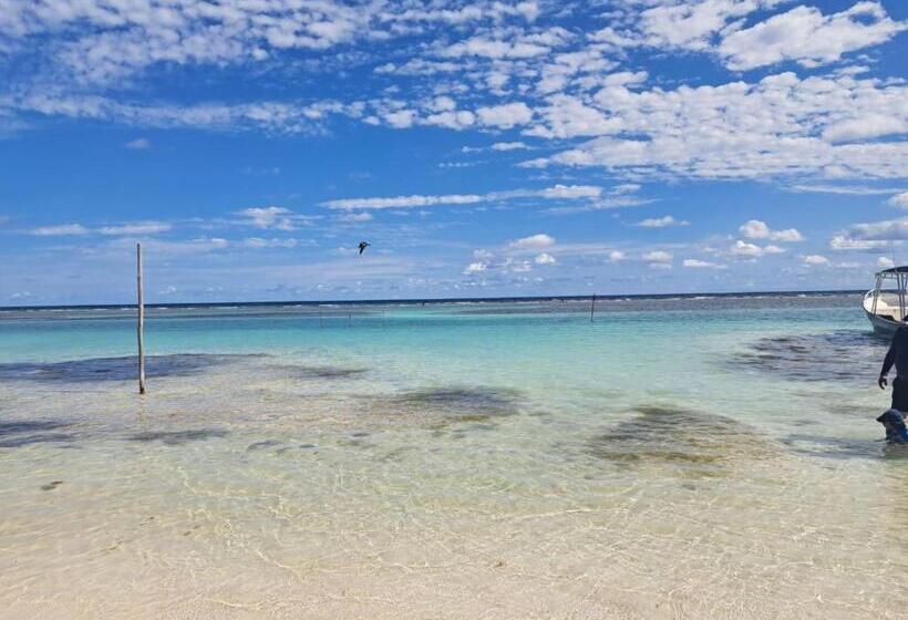 فندق Hidden Jems Mahahual Hostel