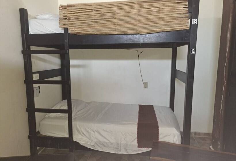 فندق Hidden Jems Mahahual Hostel