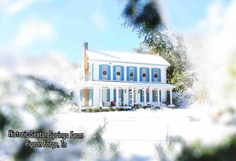 Historic Seaton Springs Farm B&b   M Seaton Queen Room With Private Bath Down The Hall