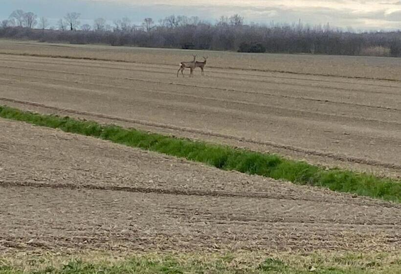 בית מלון כפרי Agriturismo Riva Mondina