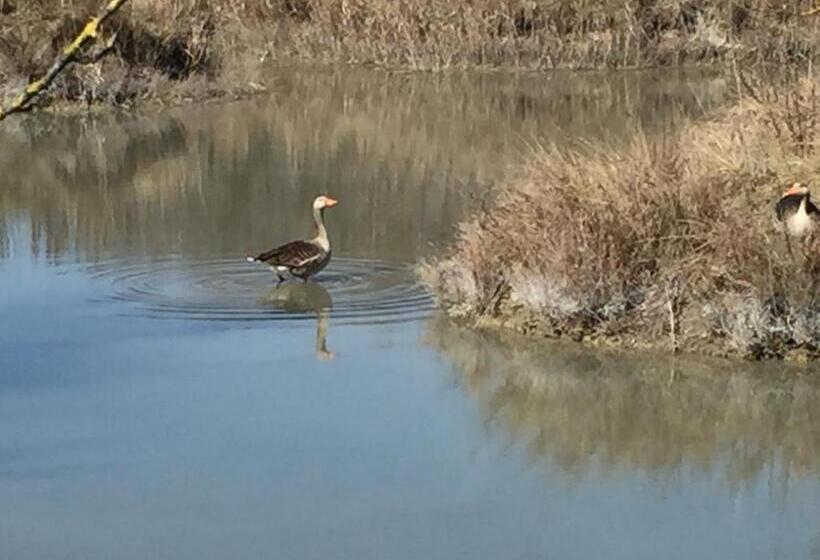 בית מלון כפרי Agriturismo Riva Mondina